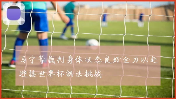 马宁等裁判身体状态良好全力以赴迎接世界杯执法挑战