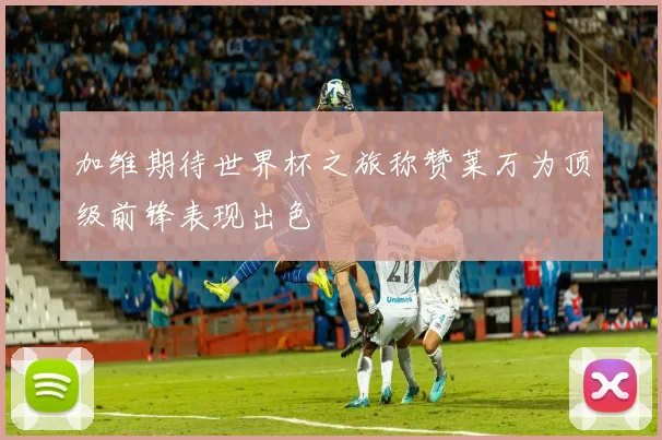 加维期待世界杯之旅称赞莱万为顶级前锋表现出色